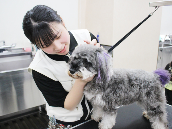 モデル犬とトリミング実習！